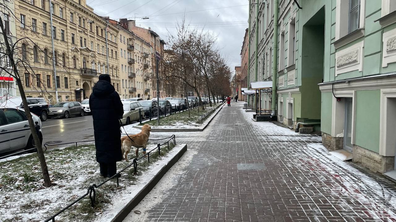 В Петербурге 76-летняя жительница дома на Зверинской умерла от «зверского» холода