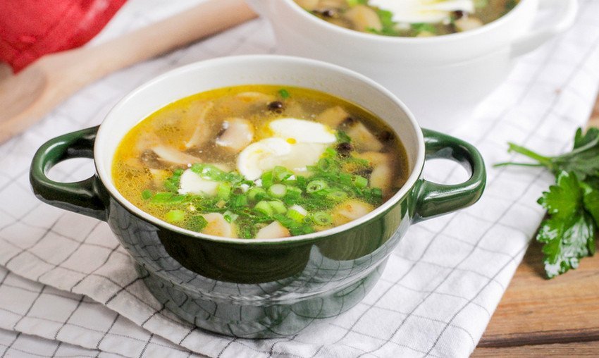 Вкусный рецепт грибного супа из шампиньонов с мясом