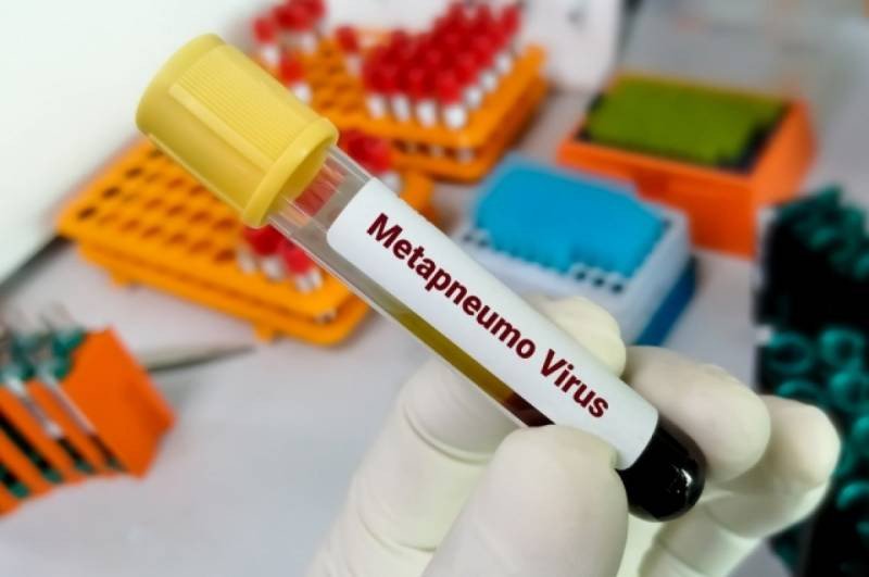 Что такое метапневмовирус и чем он опасен