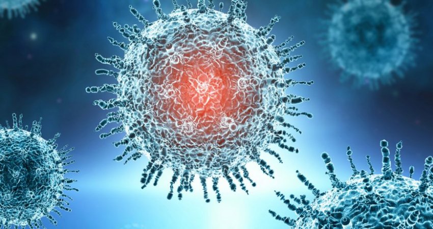 Учёные реанимировали зомби-вирусы из сибирской мерзлоты: опасны ли они для человечества