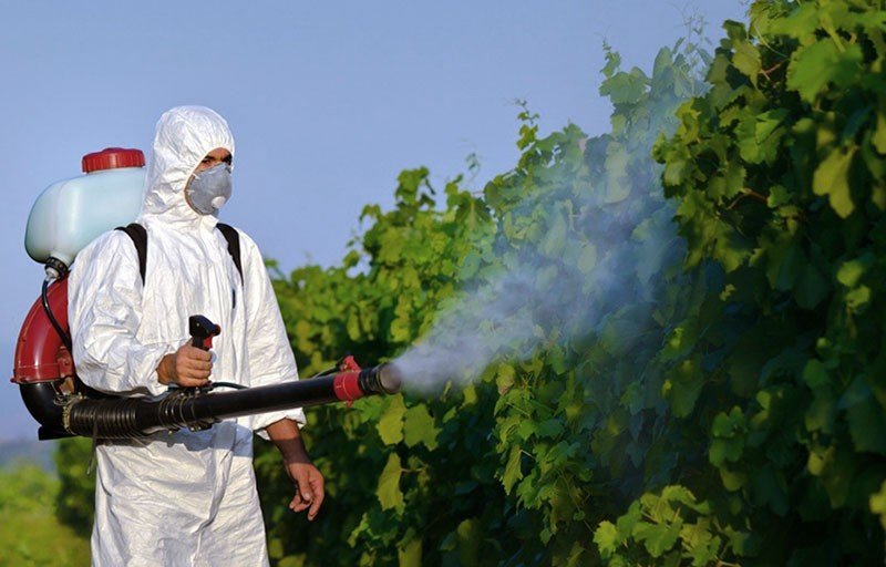 особенности пестицидов
