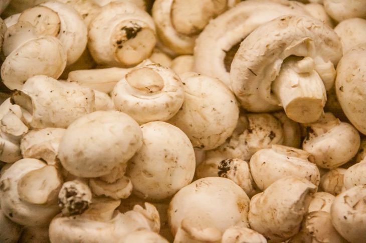 Ошибки при приготовлении грибов, которые делают их на вкус резиновыми