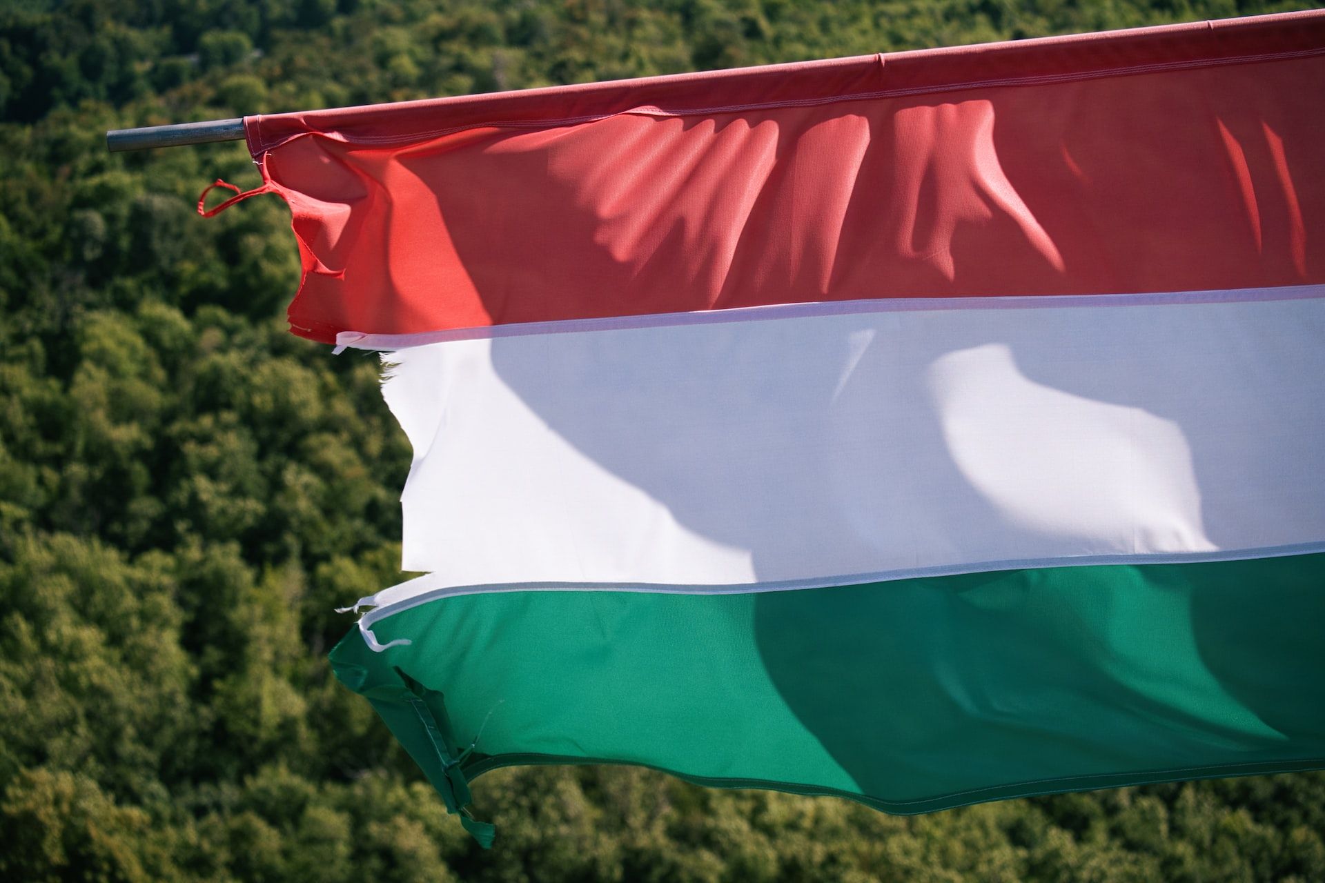 Украинский депутат разместила в Сети фотографию карты Закарпатья в цветах венгерского флага
