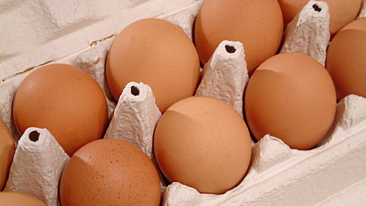 Яйца курицу не учат: ученые нашли пользу популярного продукта