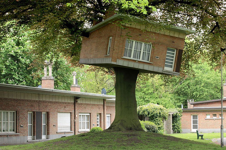 Топ-20 удивительных домов на деревьях со всего мира