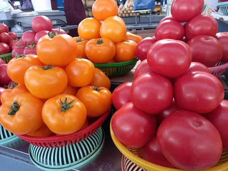 томаты 