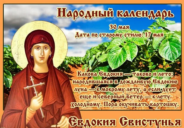 День Евдокии Свистуньи 30 мая богат приметами, традициями и обрядами