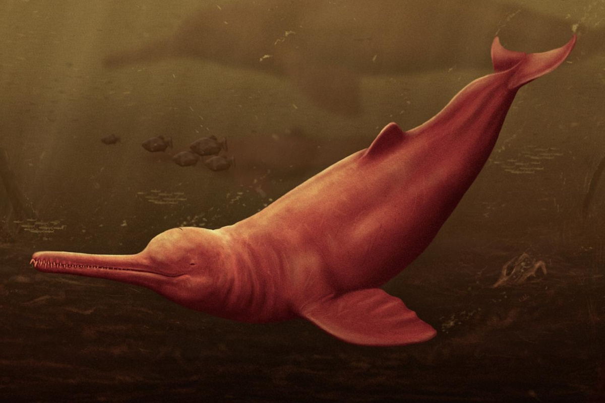Древний дельфин реки Амазонки