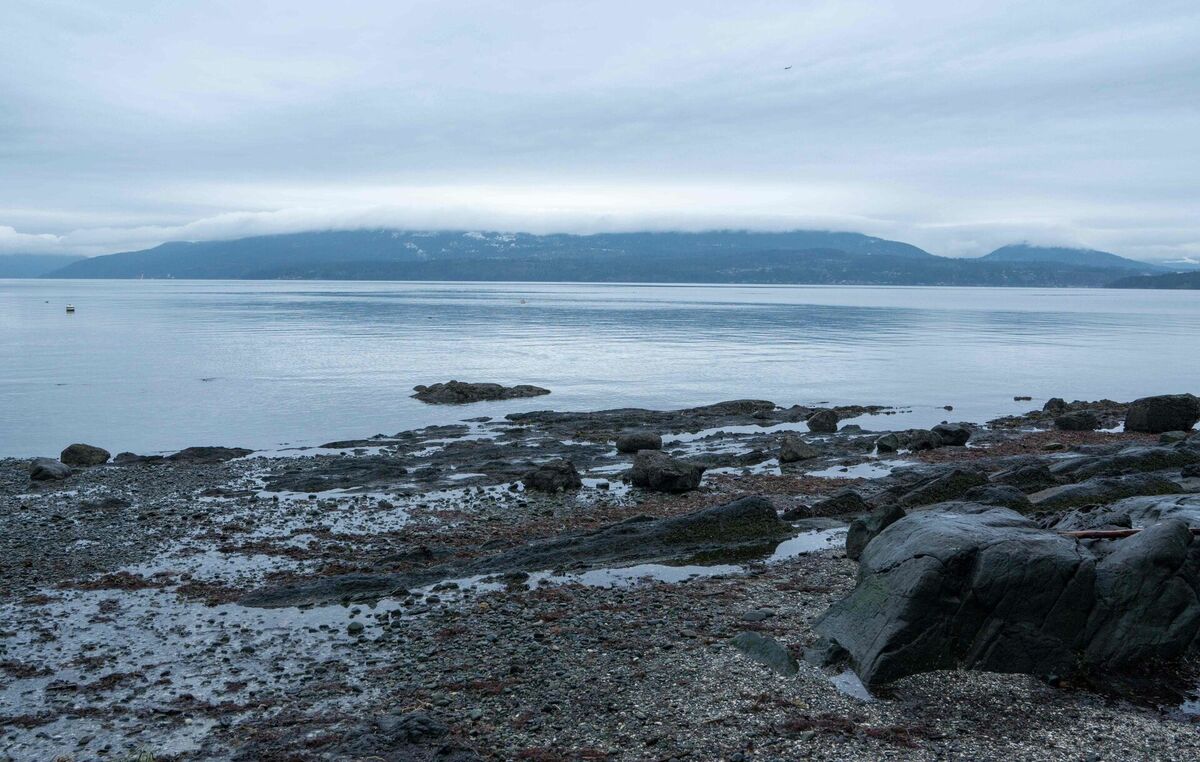 Остров Ванкувер, Канада.  Фото: scanpix/AFP
